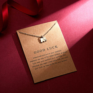 Pinapes Good Luck Charm Pendant Necklace with Wish Card for Women and Girls