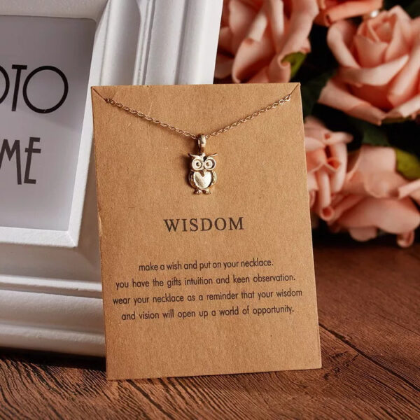 Pinapes Wisdom Charm Pendant Necklace with Wish Card for Women and Girls